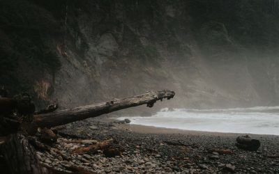 Three Reasons You Must Succeed